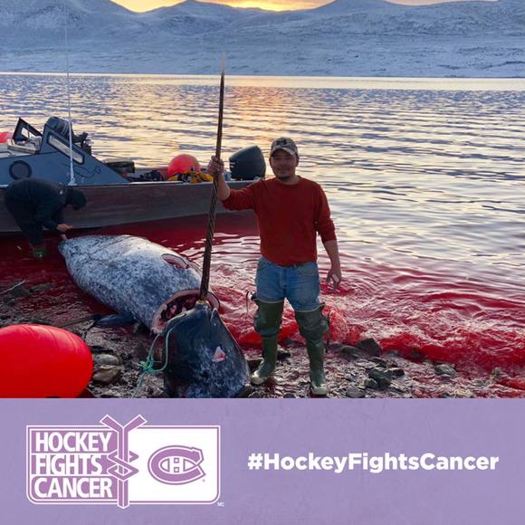 Meet your Posher, John - Picture 1 of 1